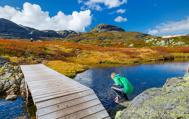 Haukelifjell.