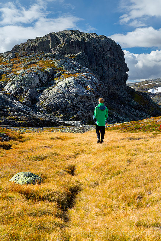 Haukelifjell.