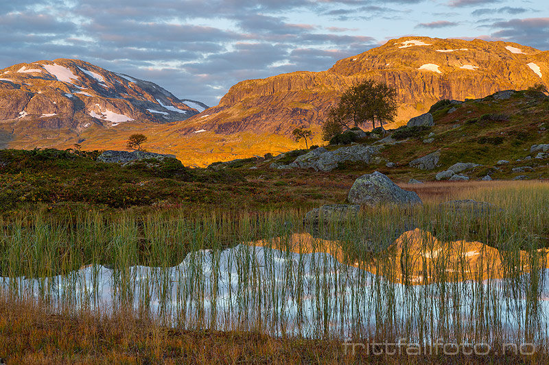 Haukelifjell.