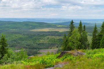 Flotsberget, Elverum.