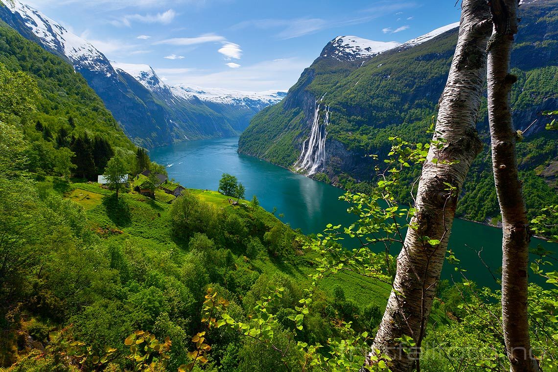 Vakker junidag nær Skageflå ved Geirangerfjorden, Stranda, Møre og Romsdal.<br>Bildenr 20070602-355.