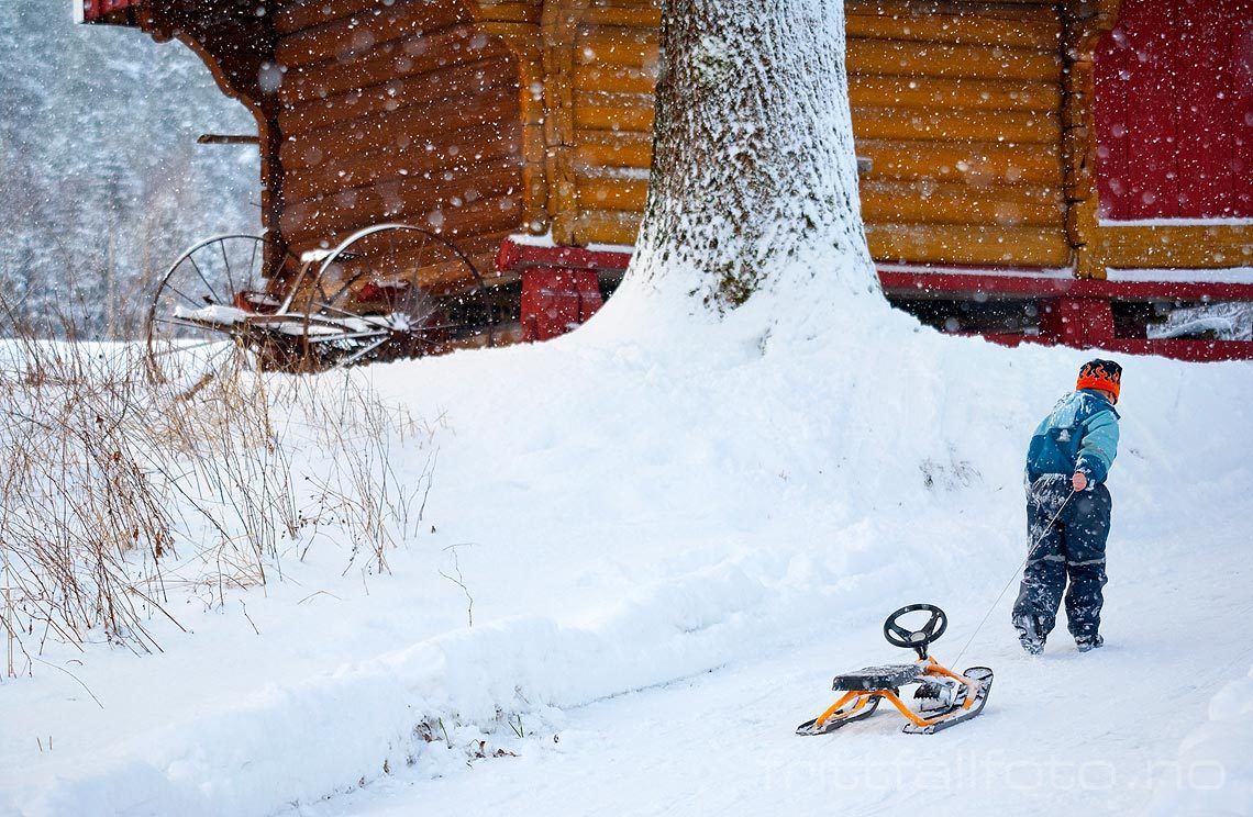 Vinterstemning i Øvre Bø, Midt-Telemark, Telemark.<br>Bildenr 20080106-147.