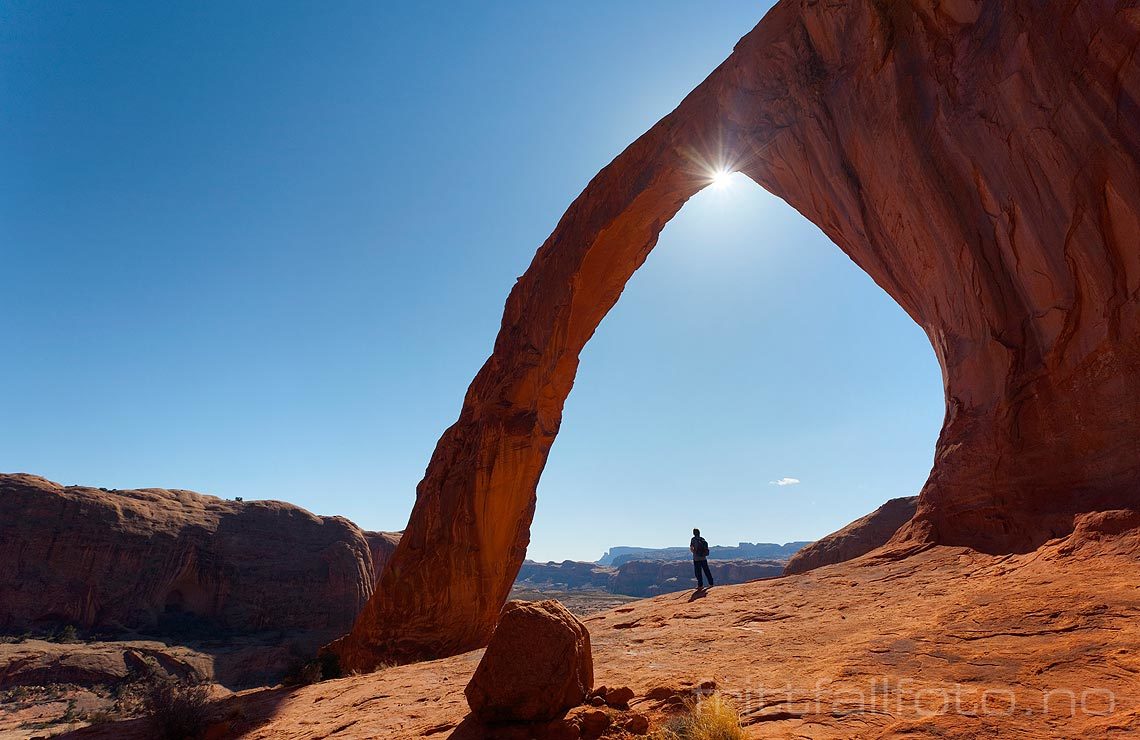 Corona Arch ligger bortgjemt til i Bootlegger Cayon nær Moab, Utah, USA.<br>Bildenr 20080318-389.