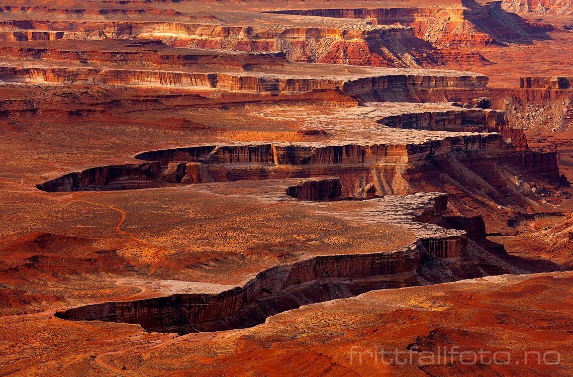 Ved Soda Springs Canyon, Canyonlands National Park, Utah, USA.<br>Bildenr 20080320-159.