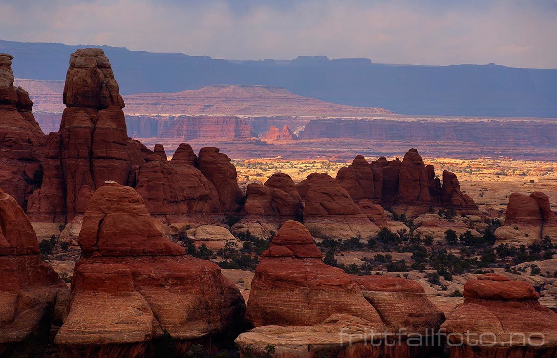 The Needles ved Elephant Canyon, Canyonlands National Park, Utah, USA.<br>Bildenr 20080320-356.