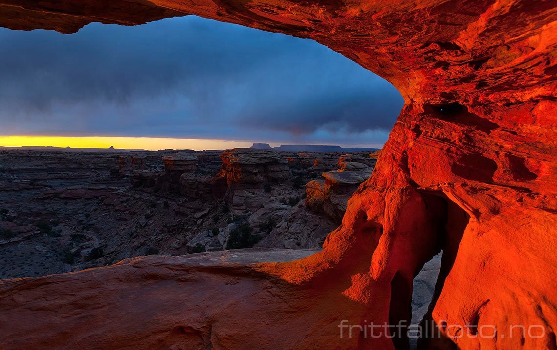 Kveldsstemning ved Little Spring Canyon i Canyonlands National Park, Utah, USA.<br>Bildenr 20080320-408.