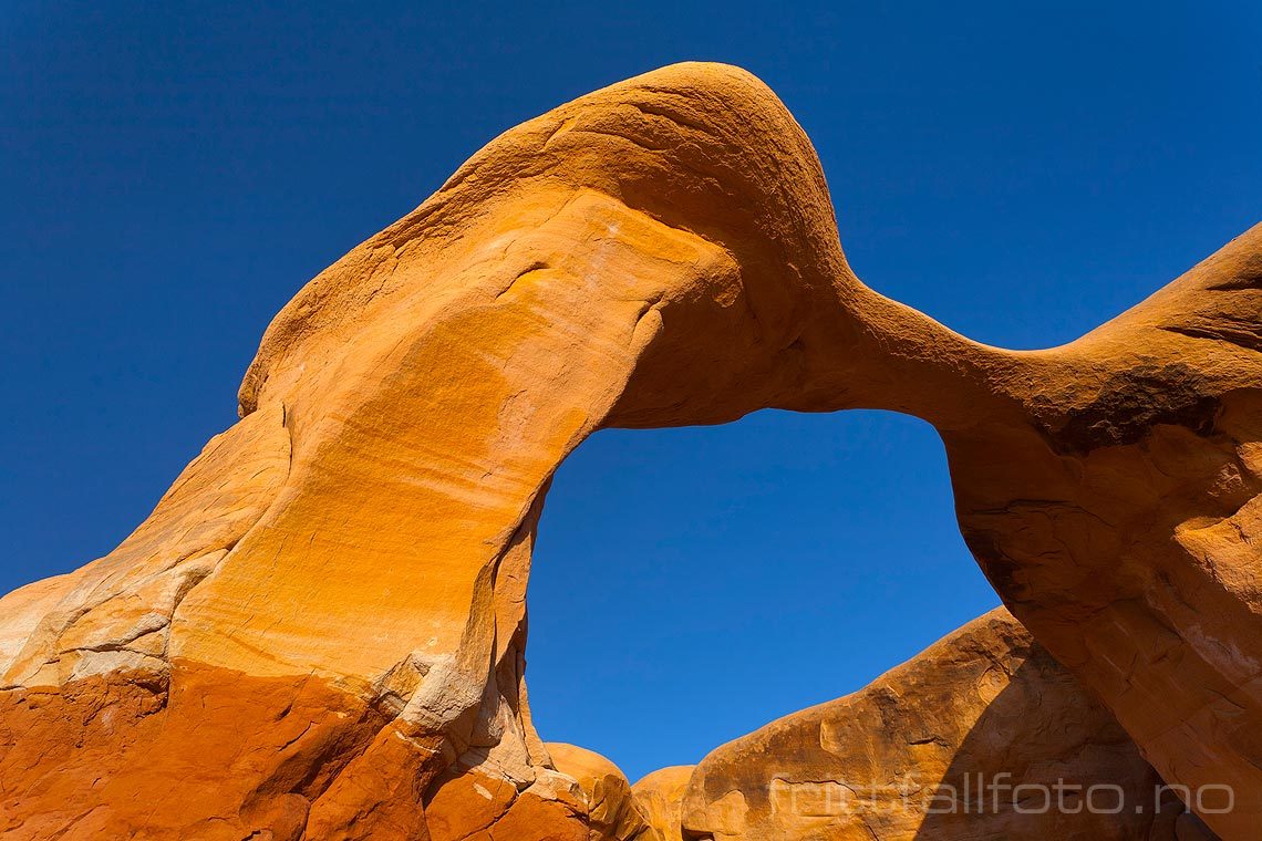 Metate Arch ved Devils Garden i Grand Staircase - Escalante National Monument, Utah, USA.<br>Bildenr 20080321-308.