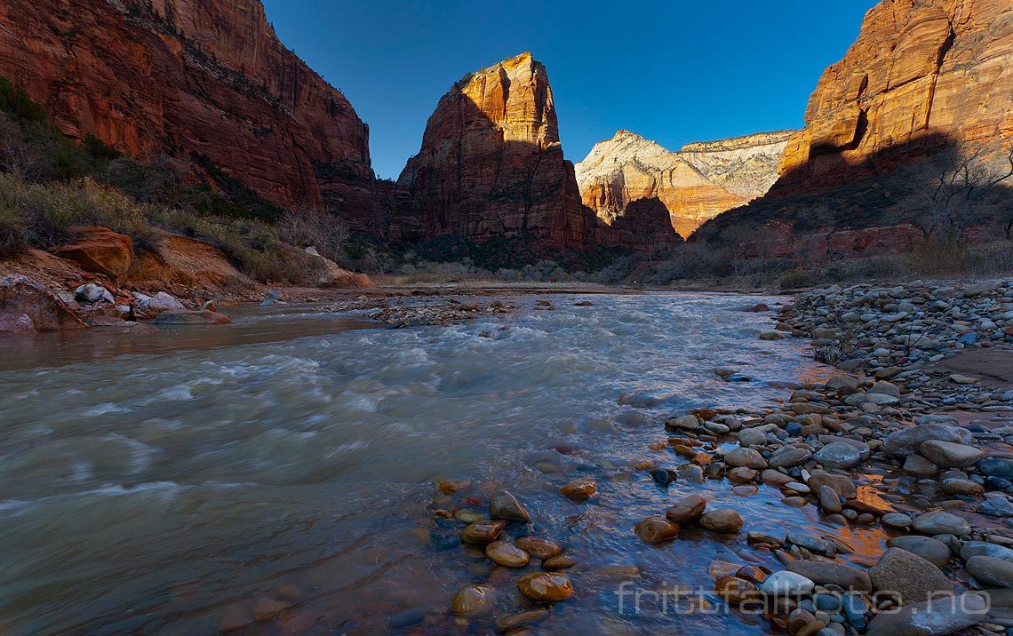 Ved North Fork Virgin River i Zion Canyon, Utah, USA.<br>Bildenr 20080322-290.