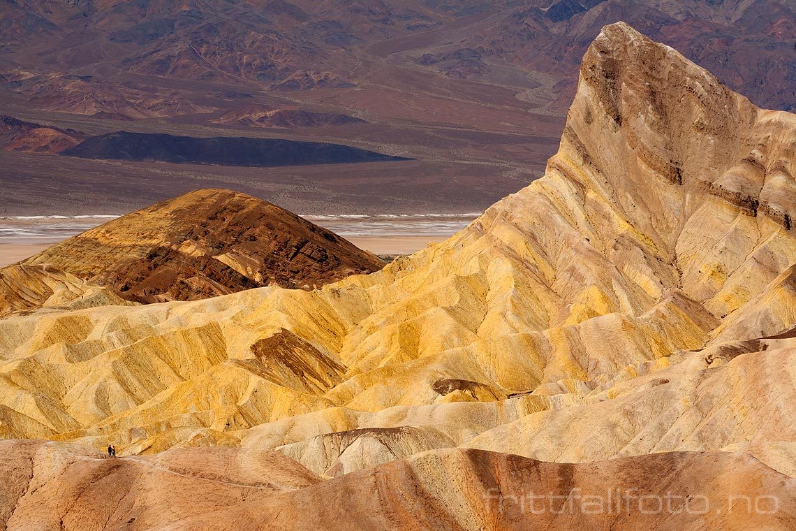 Ved Zabriskie Point i Death Valley National Park, California, USA.<br>Bildenr 20080323-040.