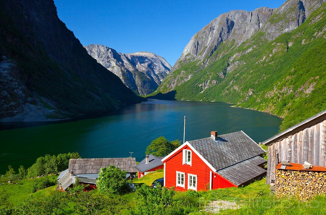 Erkenorsk fjordlandskap ved Nærøyfjorden, Aurland, Vestland.<br>Bildenr 20100615-266.