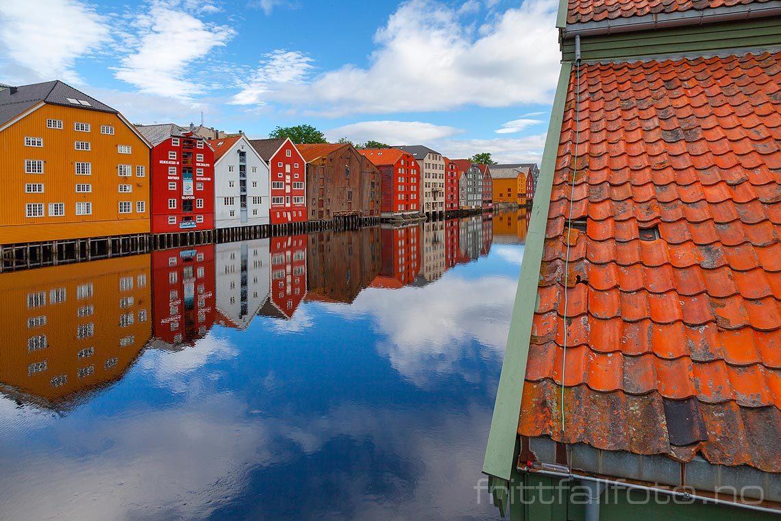 Ved Nidelva, Trondheim, Trøndelag.<br>Bildenr 20120714-055.