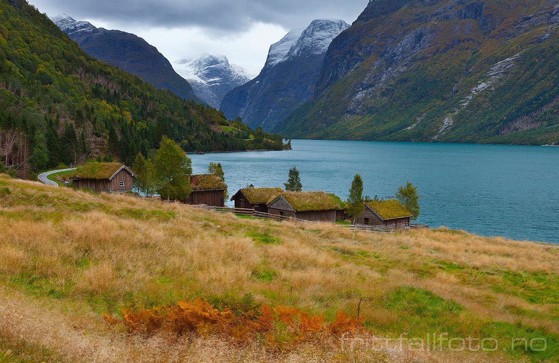 Septemberdag på Breng ved Lovatnet, Stryn, Vestland.<br>Bildenr 20120925-679.