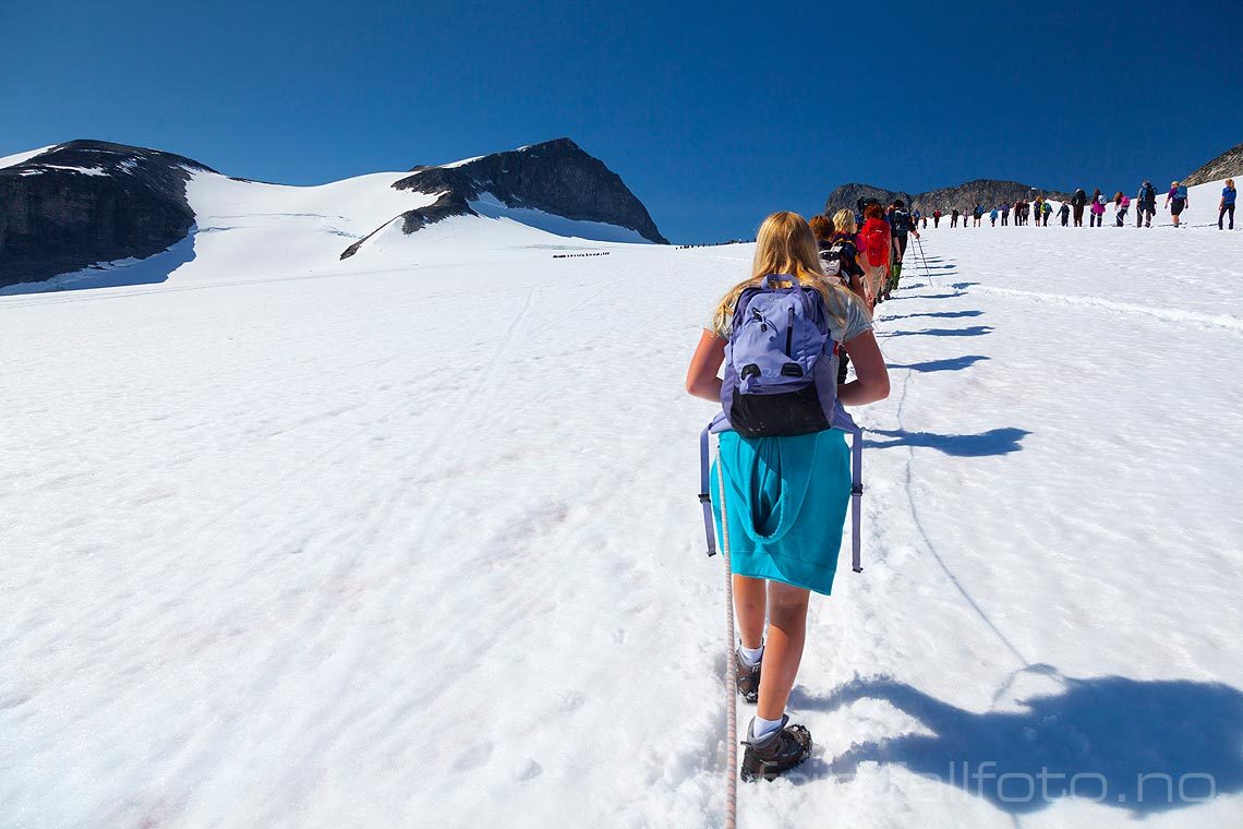 Brevandring over Styggebreen mot Galdhøpiggen i Jotunheimen, Lom, Innlandet.<br>Bildenr 20130722-183.