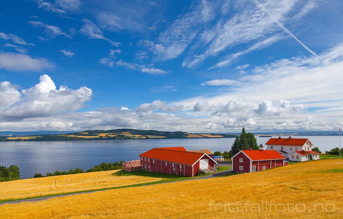 Blank og fin høstdag ved Gåserud nær Kapp, Østre Toten, Innlandet.<br>Bildenr 20130809-048.