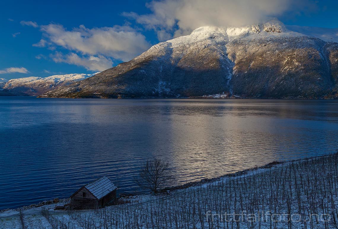 Vinterstemning nær Ulsnes ved Eidfjorden, Ullensvang, Vestland.<br>Bildenr 20140112-838.