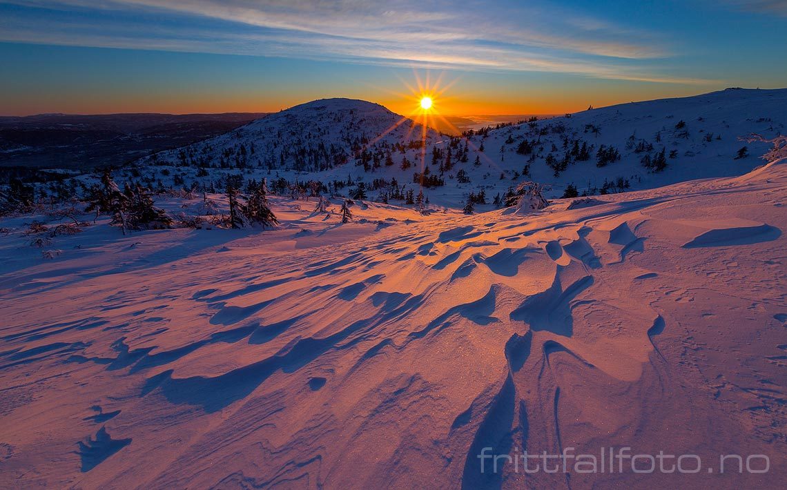 Vintermorgen nær Vierburoe på Lifjell, Midt-Telemark, Telemark.<br>Bildenr 20150125-130.