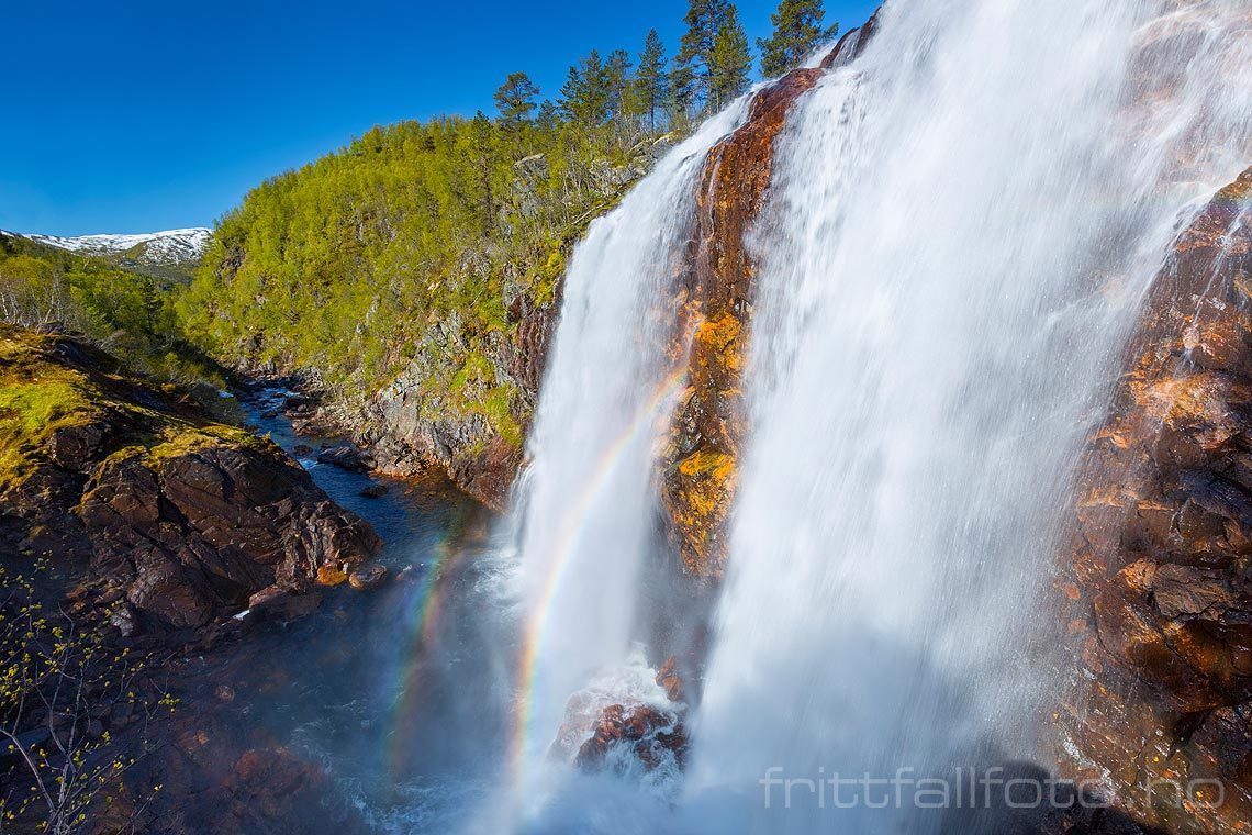 Vår ved Rjukanfossen i Støyldalen, Bykle, Agder.<br>Bildenr 20150616-107.