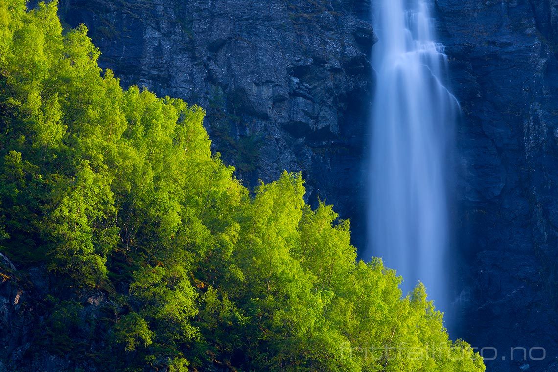 Lysegrønne bjørkelier dominerer Nærøydalen i Aurland, Vestland.<br>Bildenr 20160602-154.