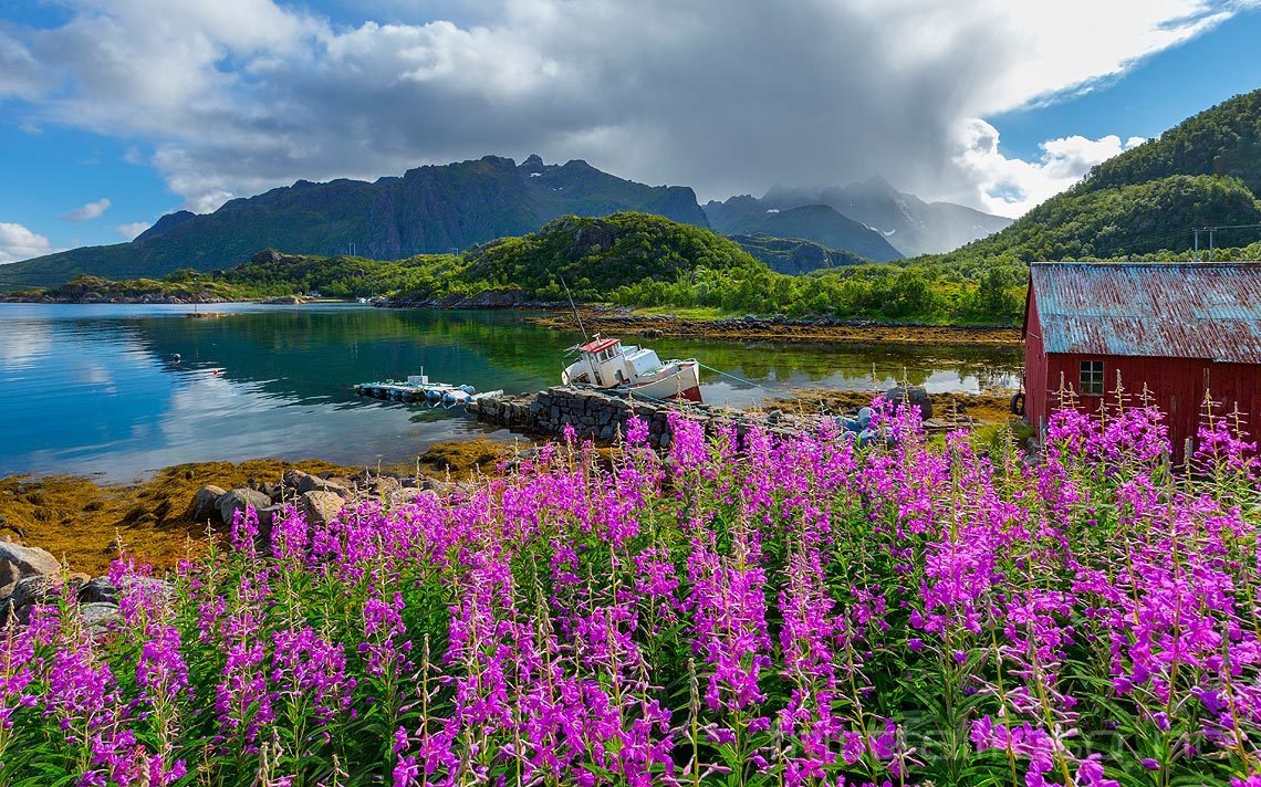 Ved Fiskebøl på Austvågøya, Hadsel i Vesterålen, Nordland.<br>Bildenr 20160810-203.