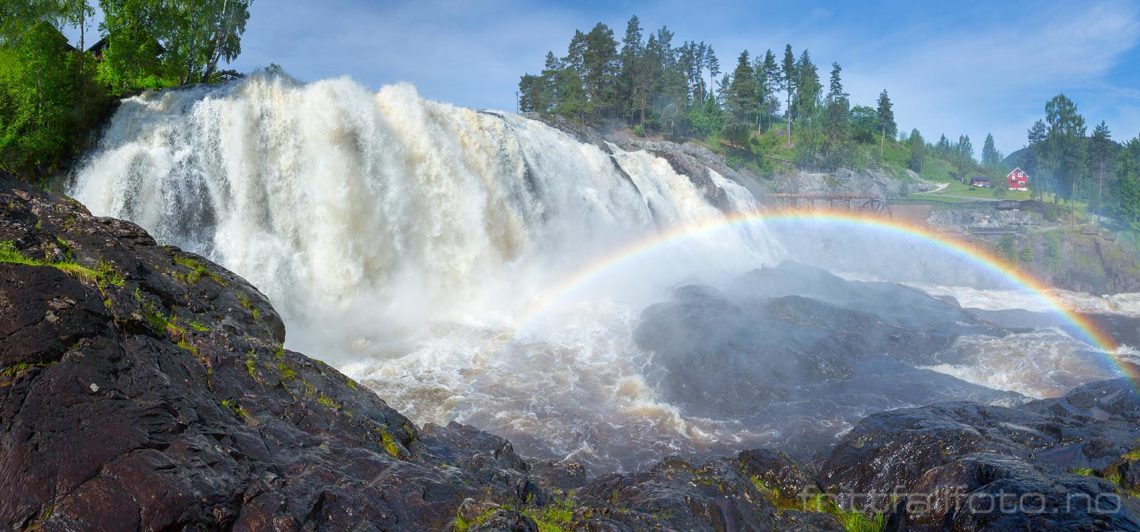 I midten av juni var det stor vannføring i Haugfossen ved Blaafarveværket, Modum, Buskerud.<br>Bildenr 20170617-200-201.