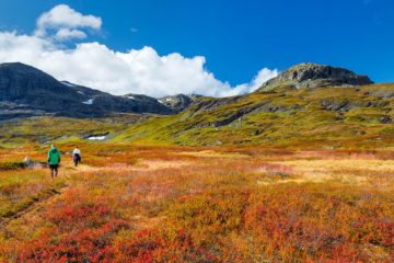 Haukelifjell, Vinje.