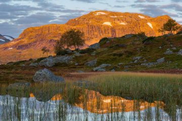 Haukelifjell, Vinje.