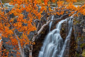 Storulfossen i Rondane, Sel.