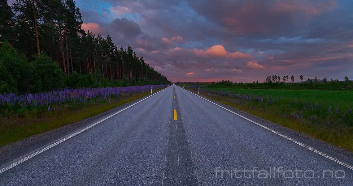 På rv 2 og Norges lengste rettstreking. Den går 7,1 km over Haslemoen, Våler, Innlandet.<br>Bildenr 20120702-285.