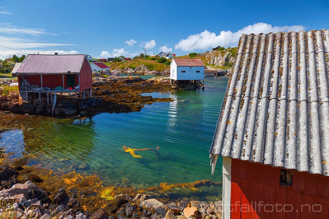 Ved Seterholmen på Norddyrøya, Frøya, Trøndelag.<br>Bildenr 20120714-259.