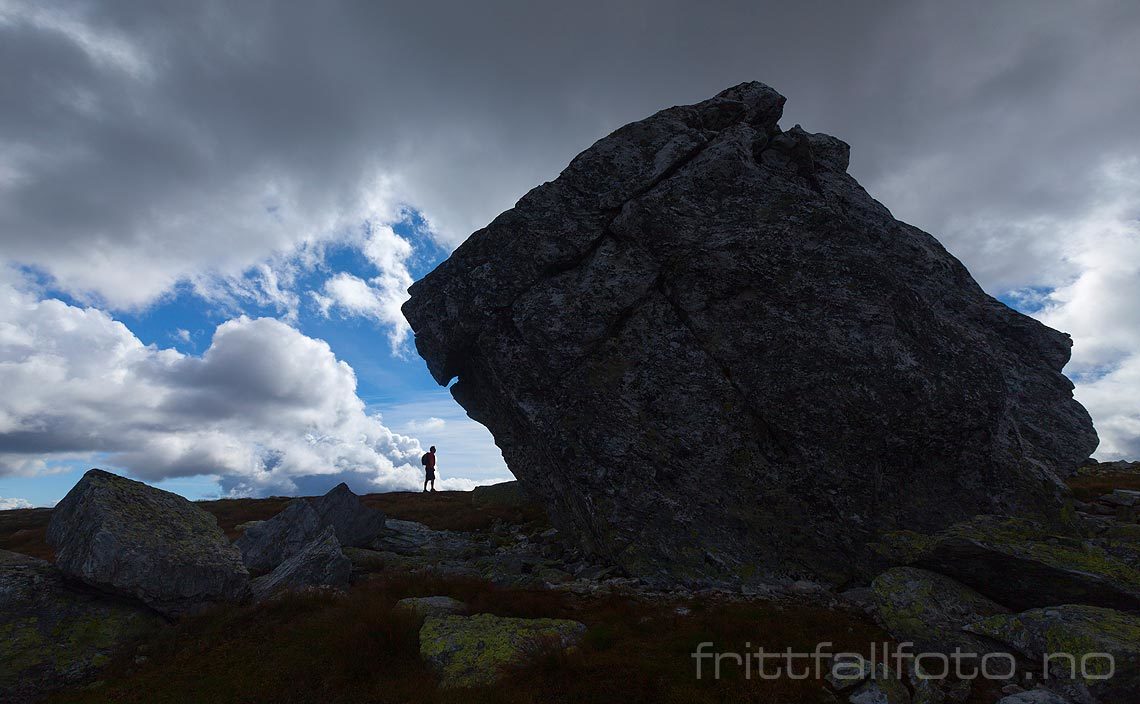 Ved 'trollet' nær Troganatten på Lifjell, Seljord, Telemark.<br>Bildenr 20120824-141.