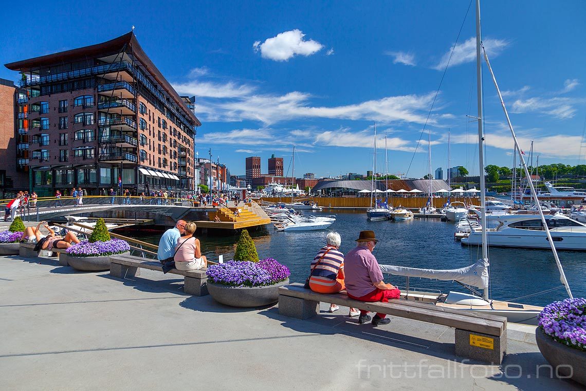 På Tjuvholmen, Oslo. Aker Brygge og Oslo rådhus i bakgrunnen.<br>Bildenr 20140531-090.