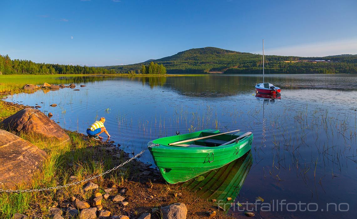 Sommerkveld ved Vermundsjøen på Finnskogen, Åsnes, Innlandet.<br>Bildenr 20140806-107.