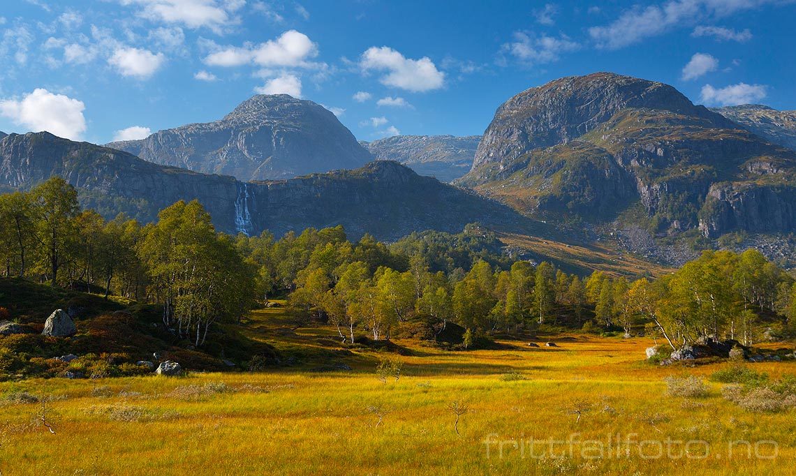 Høst ved Knaggamyra i Åbødalen, Sauda, Rogaland<br>Bildenr 20140912-173.