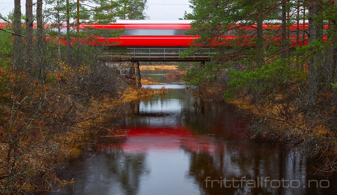 Et tog på Sørlandsbanen passerer Sundtjørn ved Gauslåfjorden, Birkenes, Agder.<br>Bildenr 20141107-080.