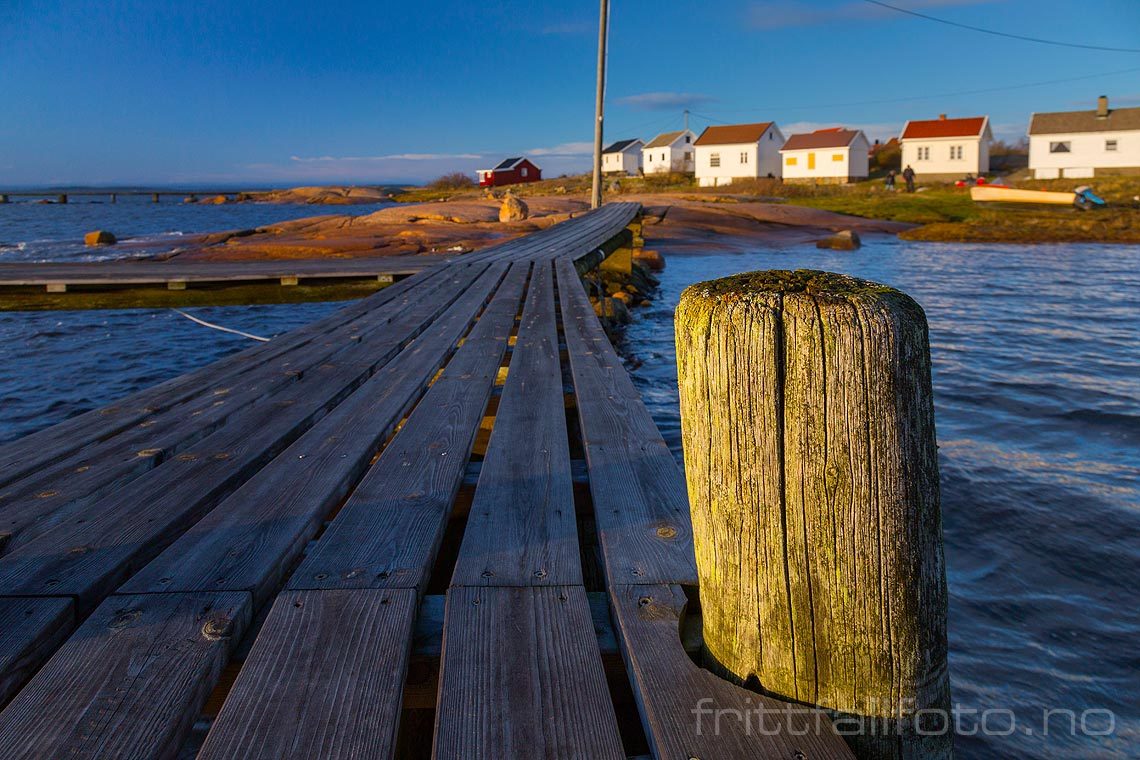 Ved Saltholmen nær Saltnes, Råde, Østfold.<br>Bildenr 20141212-242.