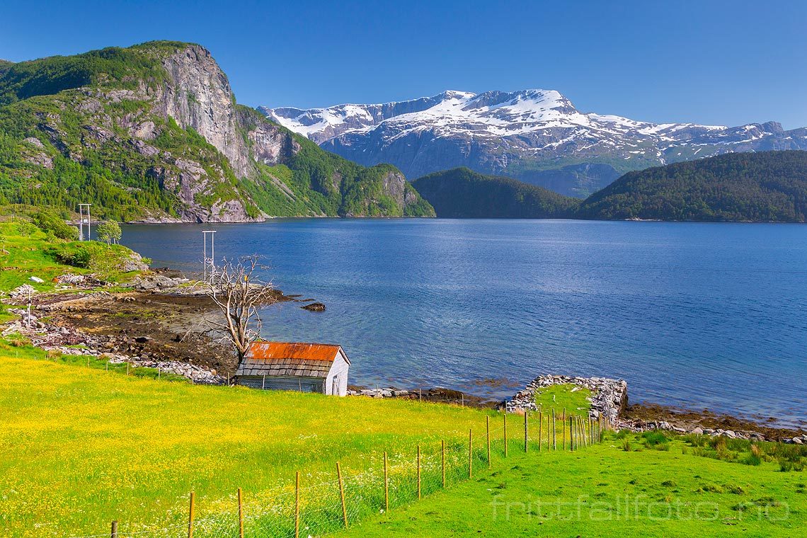 Sommeridyll nær Gryta ved Førdefjorden, Sunnfjord, Vestland.<br>Bildenr 20160603-723.