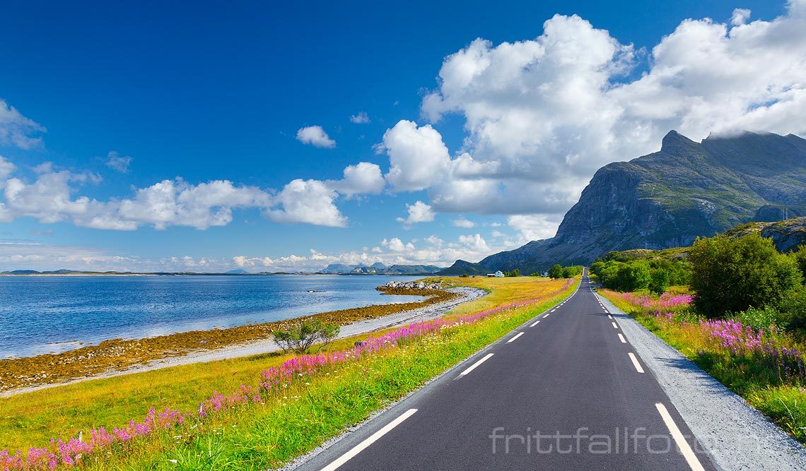 Fv 828 ved Smedvika på Dønna, Dønna, Nordland.<br>Bildenr 20160806-228.