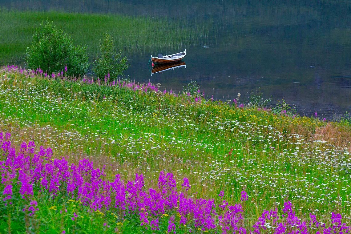 Stille sommerkveld ved Røyrbakkvatnet, Salangen, Troms.<br>Bildenr 20160808-337.