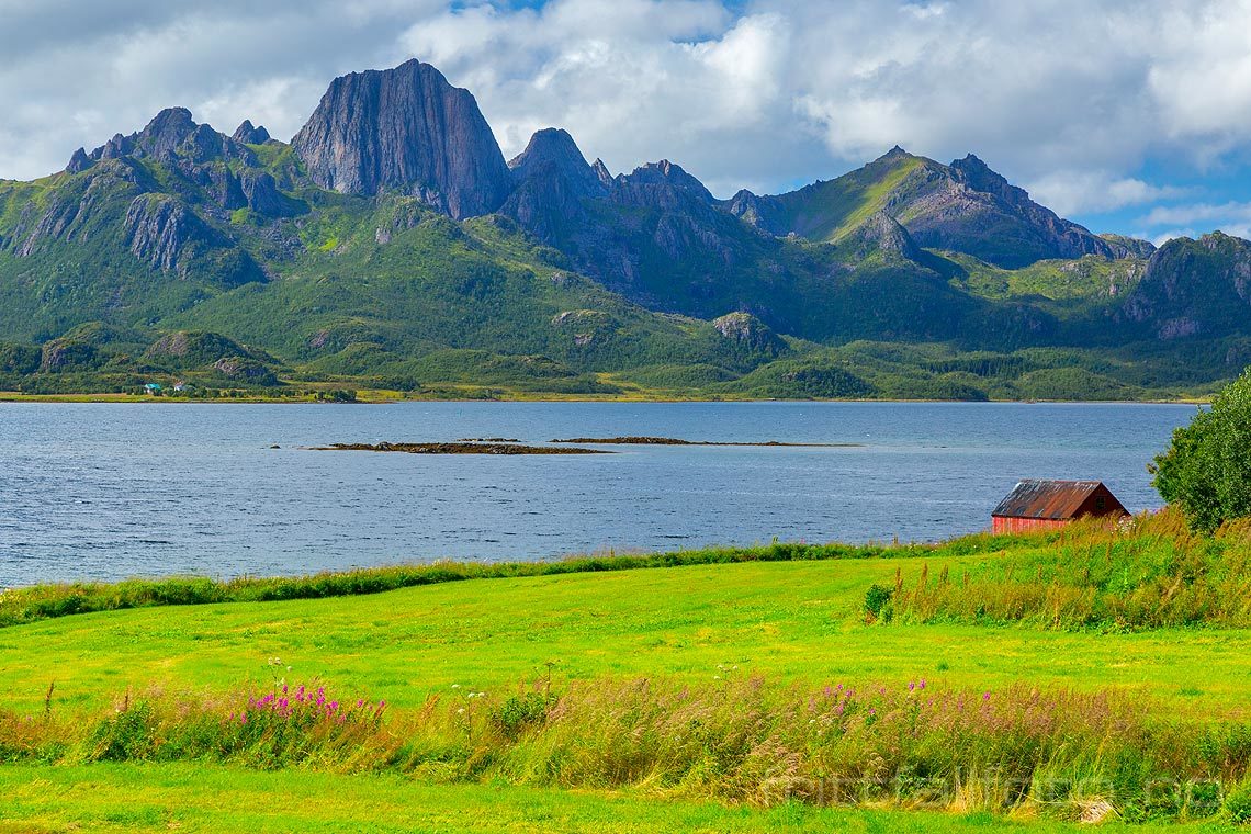 Reka reiser seg ved Eidsfjorden på Langøya, Sortland,  Nordland.<br>Bildenr 20160810-389.
