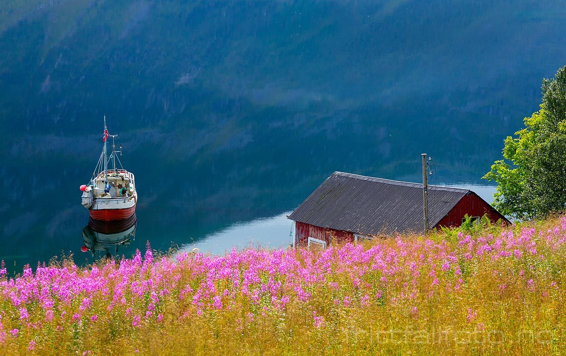 Idyll ved Gullesfjorden på Hinnøya, Kvæfjord, Troms.<br>Bildenr 20160811-080.