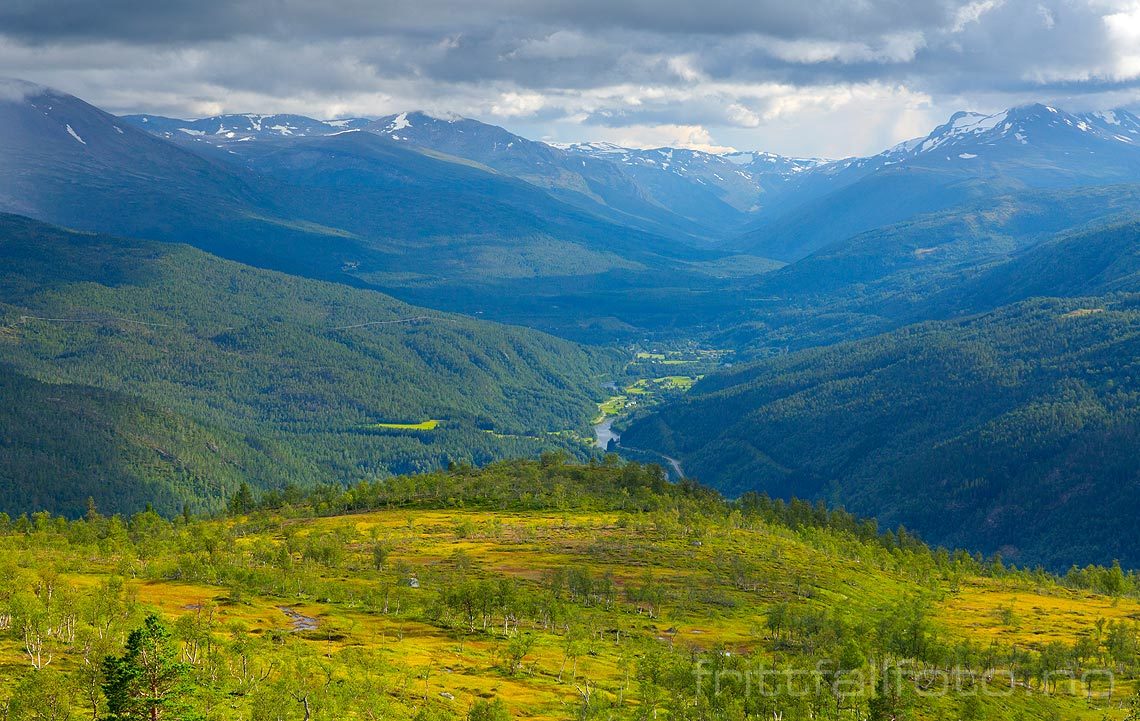 Fra Osbakkfjellet mot Beiardalen, Beiarn, Nordland.<br>Bildenr 20160811-348.