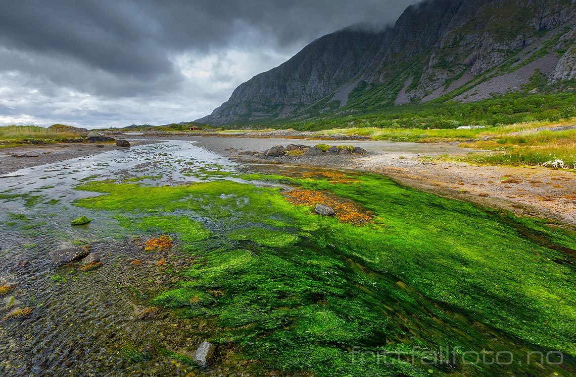 Ved Eidemsleira nær Eidem på Vega, Vega, Nordland.<br>Bildenr 20160813-282.