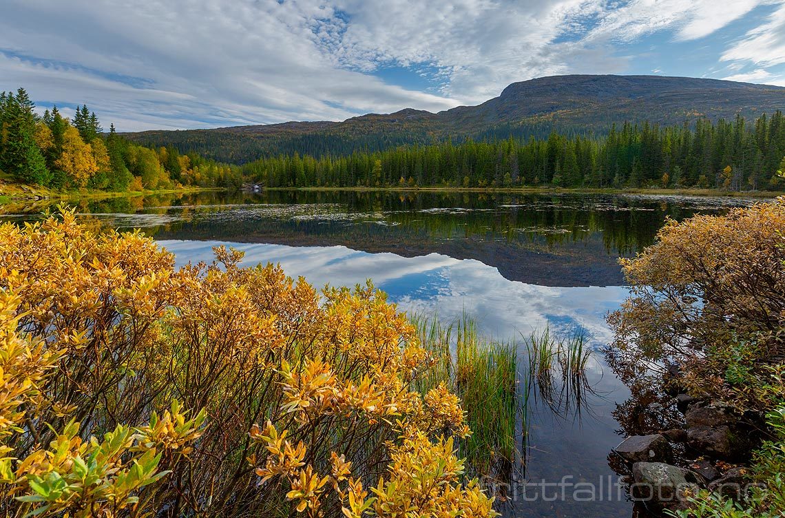 Ved Fosstjønna i Teveldalen, Meråker, Trøndelag.<br>Bildenr 20160914-386.