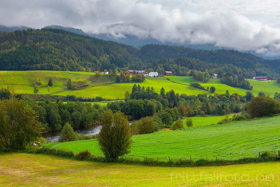 Ved Risan i Orkdalen, Rennebu, Trøndelag.<br>Bildenr 20160915-212.