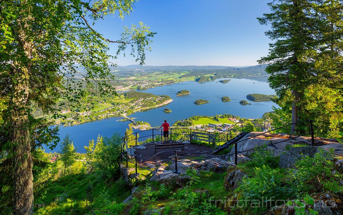 Kongens Utsikt på Krokskogen gir storslagen utsikt mot Steinsfjorden, Hole, Buskerud.<br>Bildenr 20170617-050.