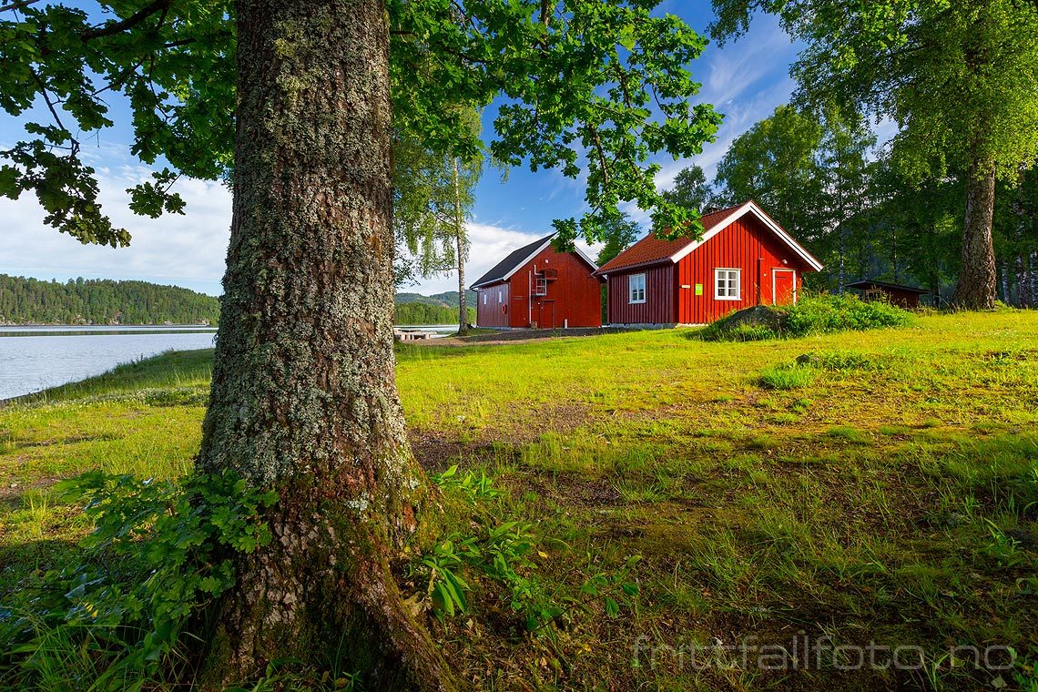 Båthuset ved Gorningen nær Kiste, Siljan, Telemark.<br>Bildenr 20170624-069.