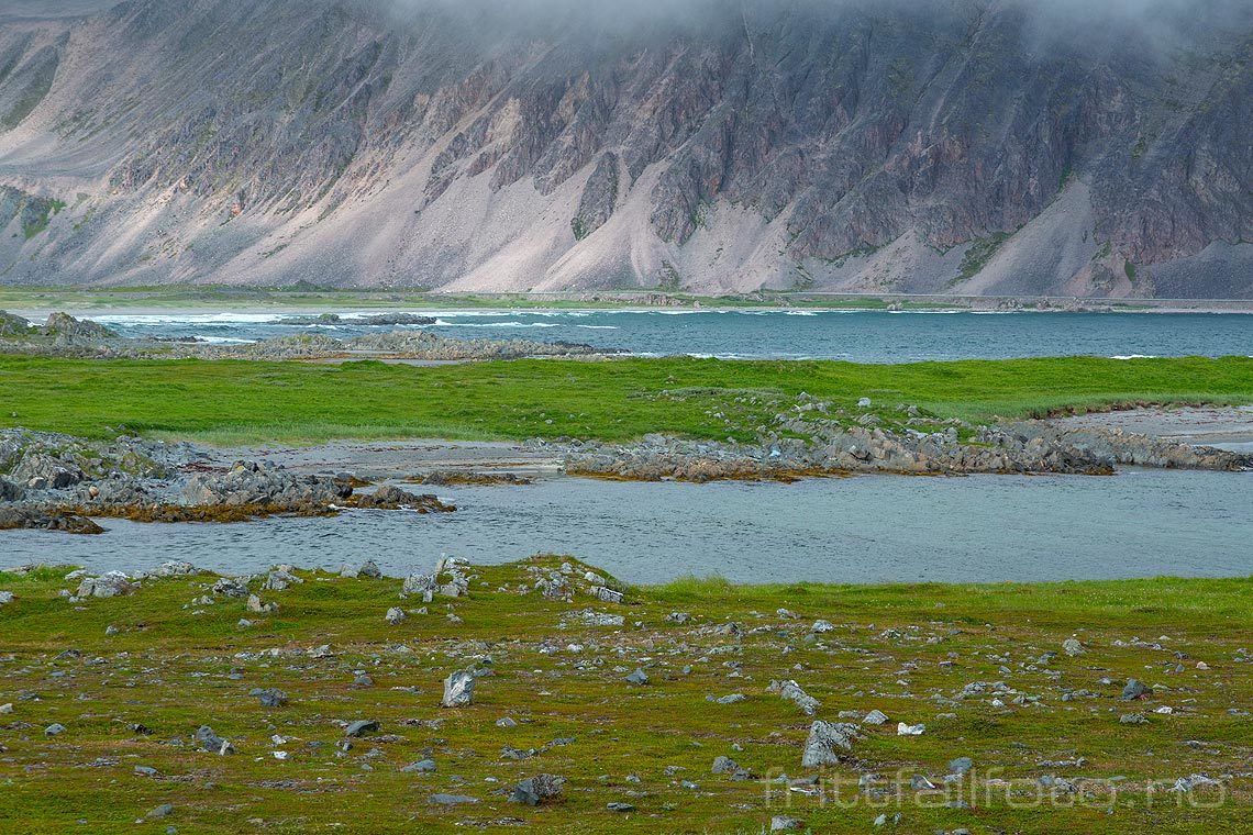 Ved Løkvika nær Sandfjorden på Varangerhalvøya, Berlevåg, Finnmark.<br>Bildenr 20170731-240.