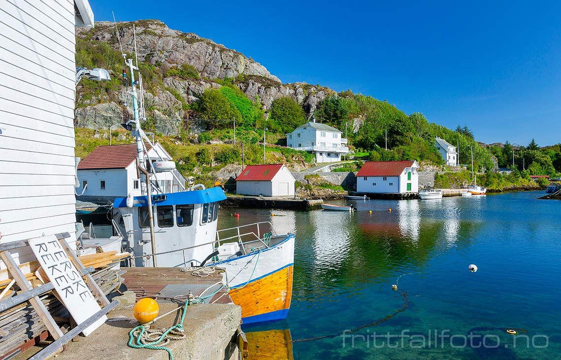 Nær Vestre Vika ved Vikafjorden på Bømlo, Bømlo, Vestland.<br>Bildenr 20170822-601.