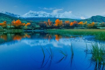 Dørålen, Rondane.