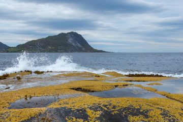 Sandsfjorden ved Gurskøya, Sande.